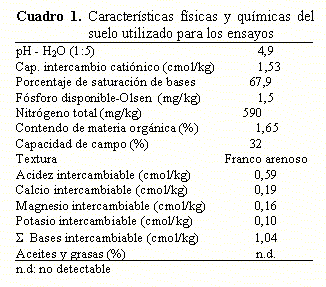 zona de intensitate a grăsimii