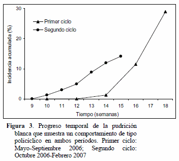 Din Mica Espacio Temporal En El Patosistema Pudrici N Blanca Ajo En Carache Trujillo Venezuela