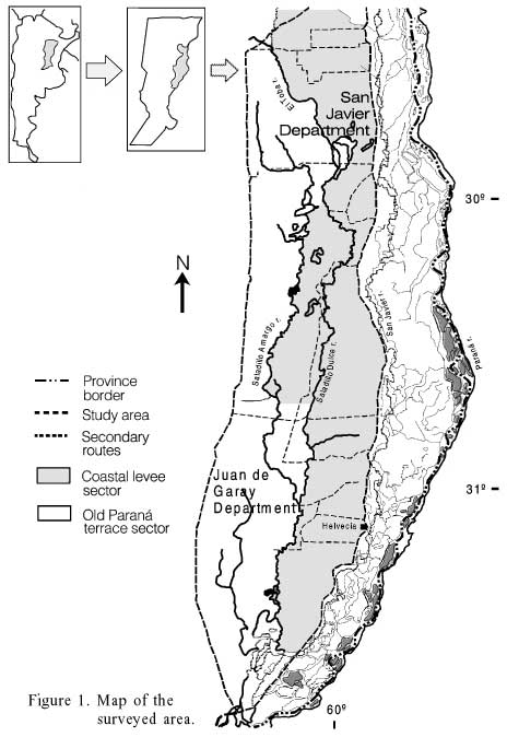 Vegetation of the saladillo area province of santa fe in the