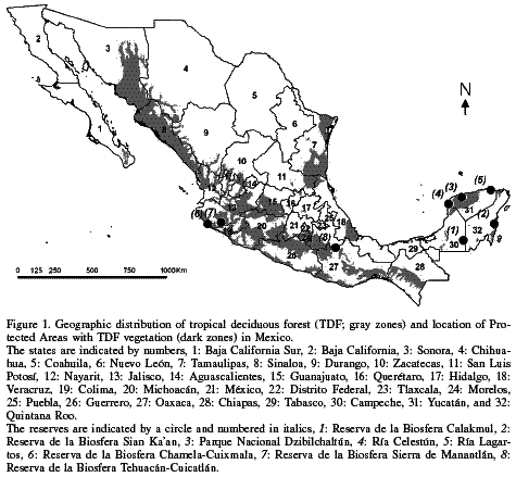 RESUMEN Y RECOMENDACIONES, Research Priorities in Tropical Biology