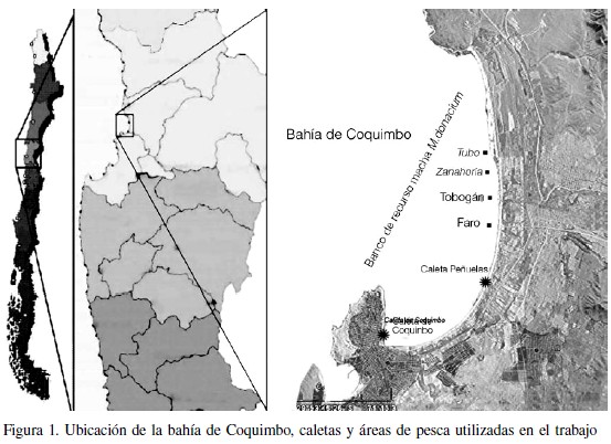 An Lisis De La Variaci N Espacio Temporal De La Capturabilidad De La