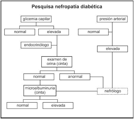 nefropatía diabética scielo)