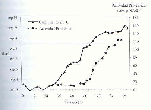 Art8Fig4.jpg (13310 bytes)