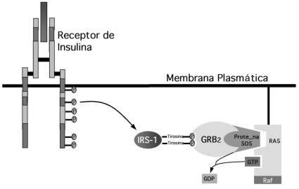 05 utilidad 1.jpg (15967 bytes)