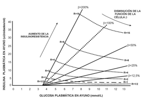 05 utilidad 3.jpg (37173 bytes)