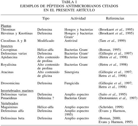 montano010.jpg (38265 bytes)