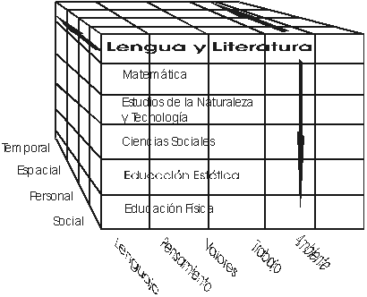 Modelo tridimensional de transversalidad