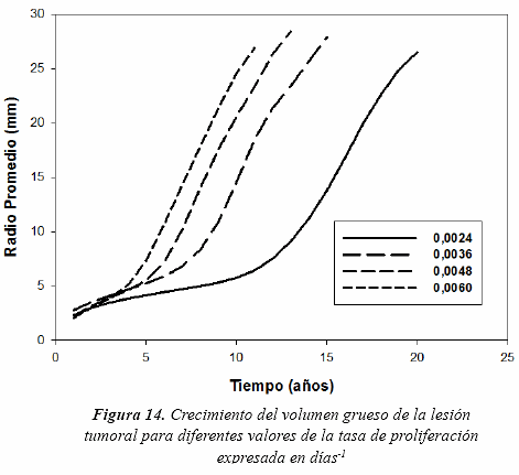 Geometría del crecimiento de lesiones tumorales en cerebro