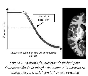 Geometría del crecimiento de lesiones tumorales en cerebro