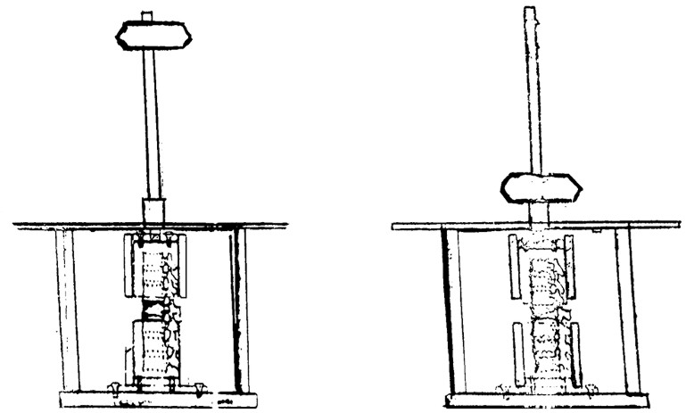 01 Anatomia 1.jpg (53974 bytes)