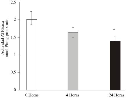 art13img1.jpg (10293 bytes)