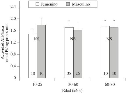 art13img2.jpg (14615 bytes)