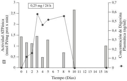 art13img3.jpg (16369 bytes)