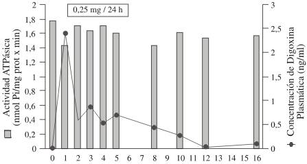 art13img4.jpg (18380 bytes)