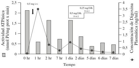 art13img5.jpg (15394 bytes)