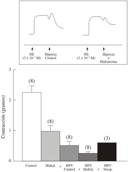 art7img1.jpg (19079 bytes)
