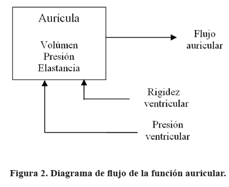 Modelo matemático de la función diastólica