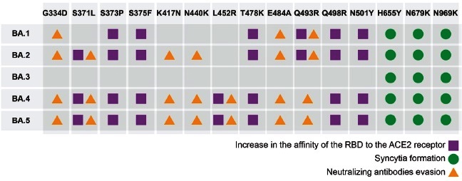 Sub-lineages of the Omicron variant of SARS-CoV-2: characteristic ...