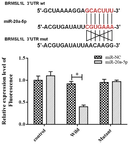 Expression of MiR-20a-5p and its target gene in colon cancer and its ...