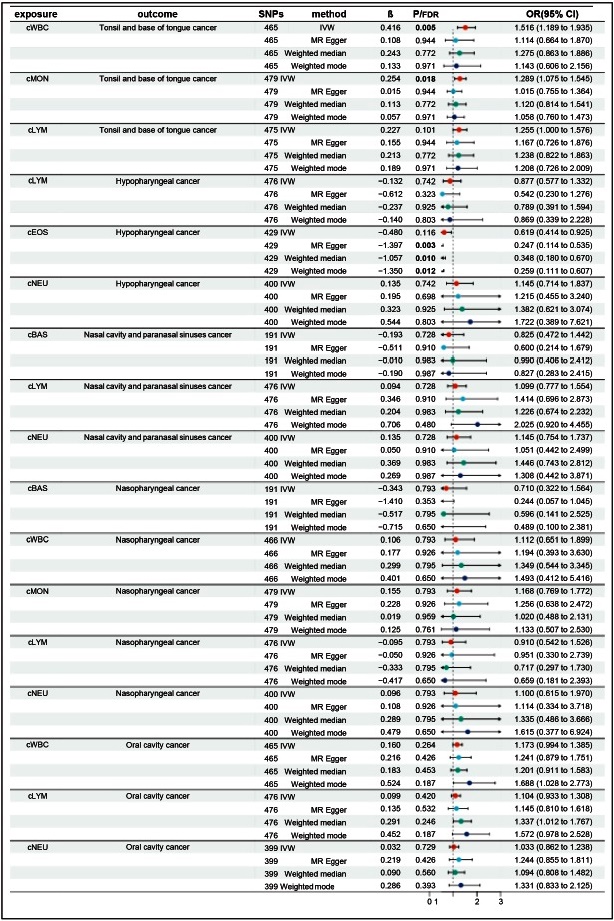 Circulating white blood cells and risk of tonsillar and base of tongue ...
